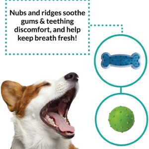 Rocket & Rex Chew Toys for Dog and Puppy. Teething, Gums, Dog Teeth Cleaning